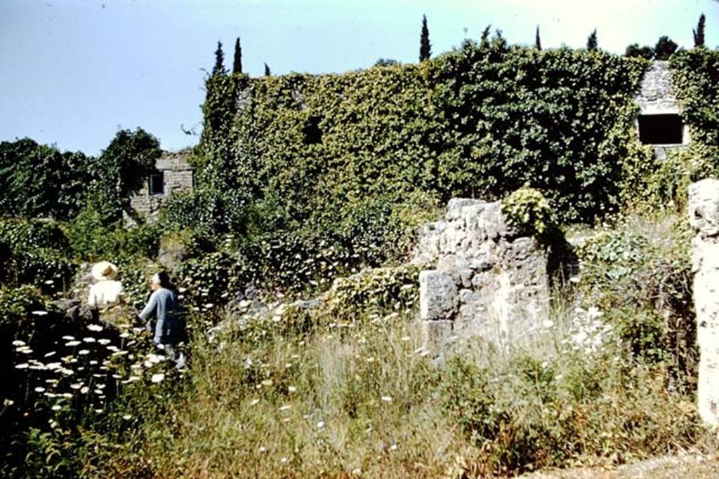VIII.7.10 Pompeii. 1959. Entrance on Via Stabiana. Looking west. Photo by Stanley A. Jashemski.
Source: The Wilhelmina and Stanley A. Jashemski archive in the University of Maryland Library, Special Collections (See collection page) and made available under the Creative Commons Attribution-Non Commercial License v.4. See Licence and use details.
J59f0251