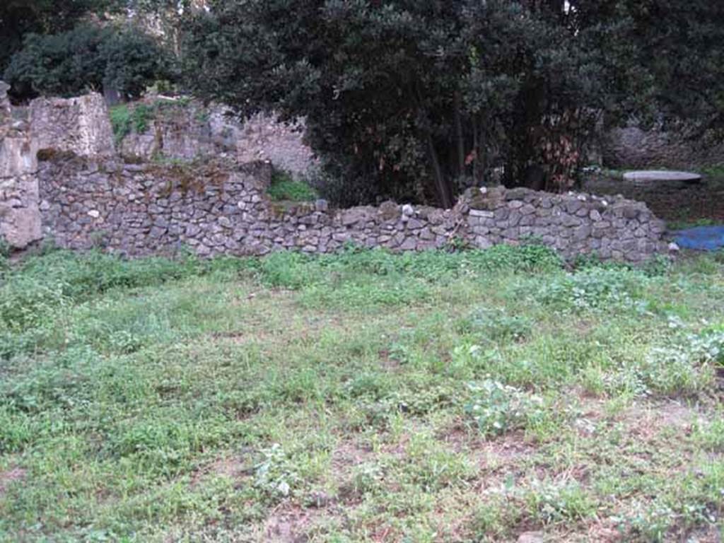 VIII.7.10 Pompeii. September 2010. Looking south across garden area and site of triclinium, near south wall.
Looking south into adjoining garden and the other triclinium. Photo courtesy of Drew Baker.
According to Soprano –
“Ubicazione: giardino. L. medius, m. 4.60; l. imus e l. summus, m. 320; mensa, m.1.40 per 0.90.
Bibliog. “Not. Scavi”, 1910, p.265 e pianta.
Il triclinio era addossato al muro meridionale del giardino; davanti ad esso il terreno fu rinvenuto battuto per uno spazio semi-circolare che presenta piccole lastre di marmo confitte qua e la.
La mensa, rettangolare, presenta sul davanti una nicchietta semi-circolare; originariamente era ricoperta di segmenti a forma geometrica di marmo colorato. 
I tre letti erano ricoperti di cocciopesto e rivestiti, lateralmente, di intonaco dipinto; cocciopesto e intonaco sono andati distrutti. 
Anteriormente, le pareti verticali recavano, su fondo rosso, la raffigurazione di due Amorini, dei quali uno in atto di difendersi da un fagiano che tenta di beccare un grappola d’uva ch’egli ha nelle mani, l’altro in atto di bere il contenuto di una coppa, mentre con la destra respinge una pantera.”
See Soprano, P. (1950). I triclini all’aperto di Pompei. (In Pompeiana, raccolta di studi per il secondo centenario degli scavi di Pompei. Napoli, Gaetano Macchiaroli, Editore, P. 302, no.18).