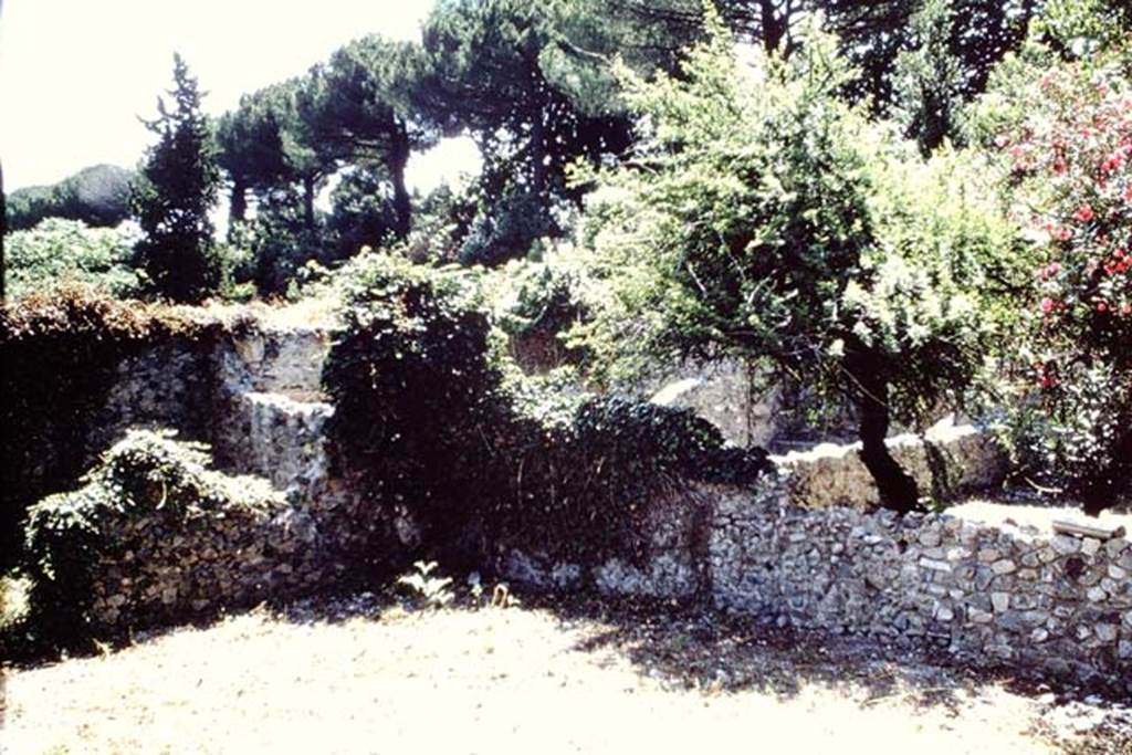 VIII.7.10 Pompeii. 1966. Looking south-east across garden area and site of triclinium near south wall, lower right of photo.  Photo by Stanley A. Jashemski.
Source: The Wilhelmina and Stanley A. Jashemski archive in the University of Maryland Library, Special Collections (See collection page) and made available under the Creative Commons Attribution-Non Commercial License v.4. See Licence and use details.
J66f0189
According to Jashemski, the triclinium in the garden of VIII.7.10, was attached to the south wall.  On the sides of the triclinium, which were finished with painted plaster, two cherubs were painted on a red background: the one on the right was trying to ward off a pheasant that was attempting to peck at a bunch of grapes held by the cherub, the other cherub drinking from a bowl, while pushing back an animal, perhaps a leopard. There was a rectangular triclinium table with an incurving semicircle in front. To the north of the triclinium was an unusual masonry table, permitting food and drink to be stored in the covered interior.  This garden communicated with the large garden to the south, as well as to the garden to the north. 
See Jashemski, W. F., 1993. The Gardens of Pompeii, Volume II: Appendices. New York: Caratzas. (p.221)