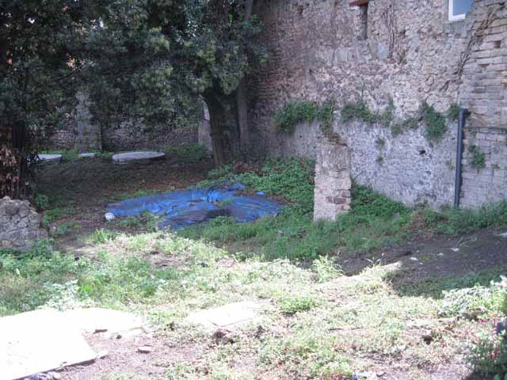 VIII.7.10 Pompeii. September 2010. Looking south from garden area, through entrance doorway to southern garden of VIII.7.6. Photo courtesy of Drew Baker.