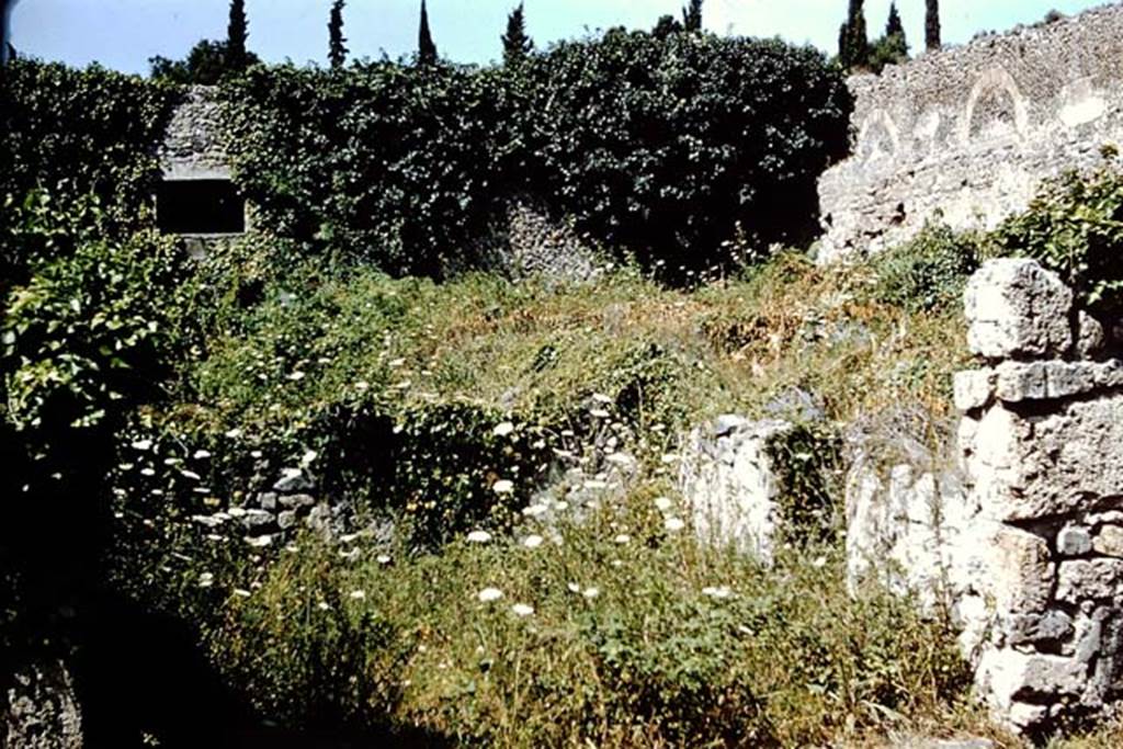 VIII.7.13 Pompeii. 1959. Entrance. Photo by Stanley A. Jashemski.
Source: The Wilhelmina and Stanley A. Jashemski archive in the University of Maryland Library, Special Collections (See collection page) and made available under the Creative Commons Attribution-Non Commercial License v.4. See Licence and use details.
J59f0252