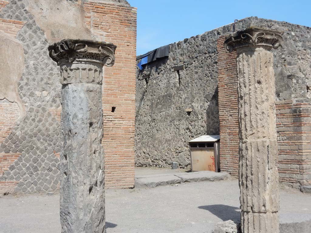 VIII.7.16 Pompeii. June 2019. Looking east in north-east corner showing towards the entrance from VIII.7.16. 
Photo courtesy of Buzz Ferebee.