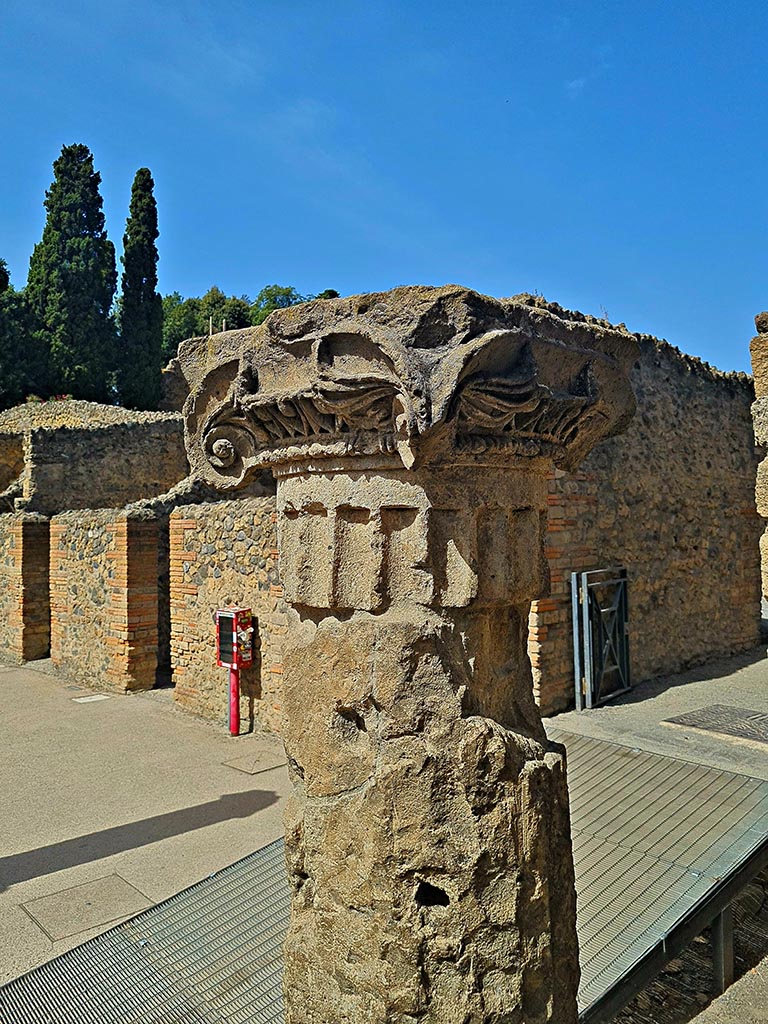 VIII.7.16 Pompeii. September 2024. 
Detail of column in north-east corner. Photo courtesy of Giuseppe Ciaramella.