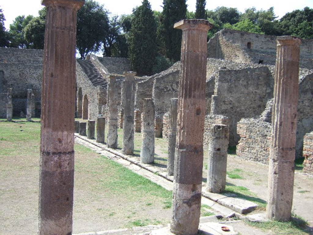 VIII.7.16 Pompeii.  May 2006. Looking west from north east corner.  A few of the 74 Doric columns that enclosed the large open central area.