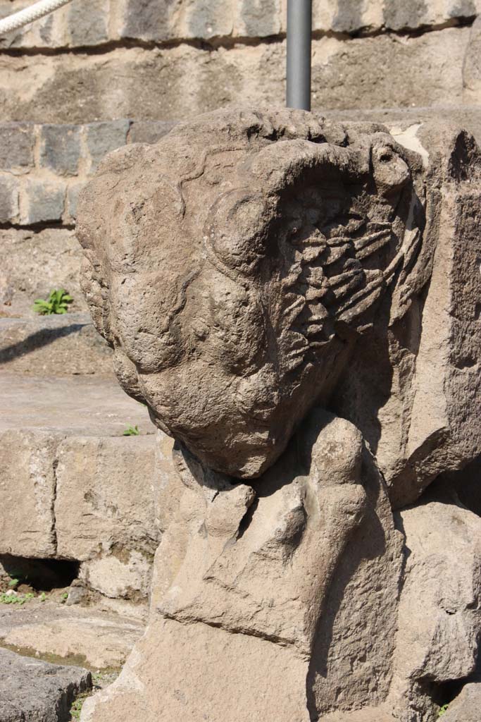 VIII.7.19 Pompeii. September 2017. East side. Tufa Lion’s foot.
Photo courtesy of Klaus Heese.