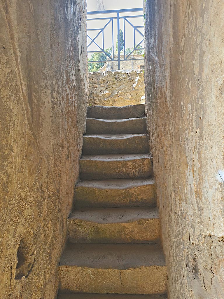 VIII.7.20 Pompeii. September 2024. 
Looking west to steps to the Tribunal. Photo courtesy of Giuseppe Ciaramella.