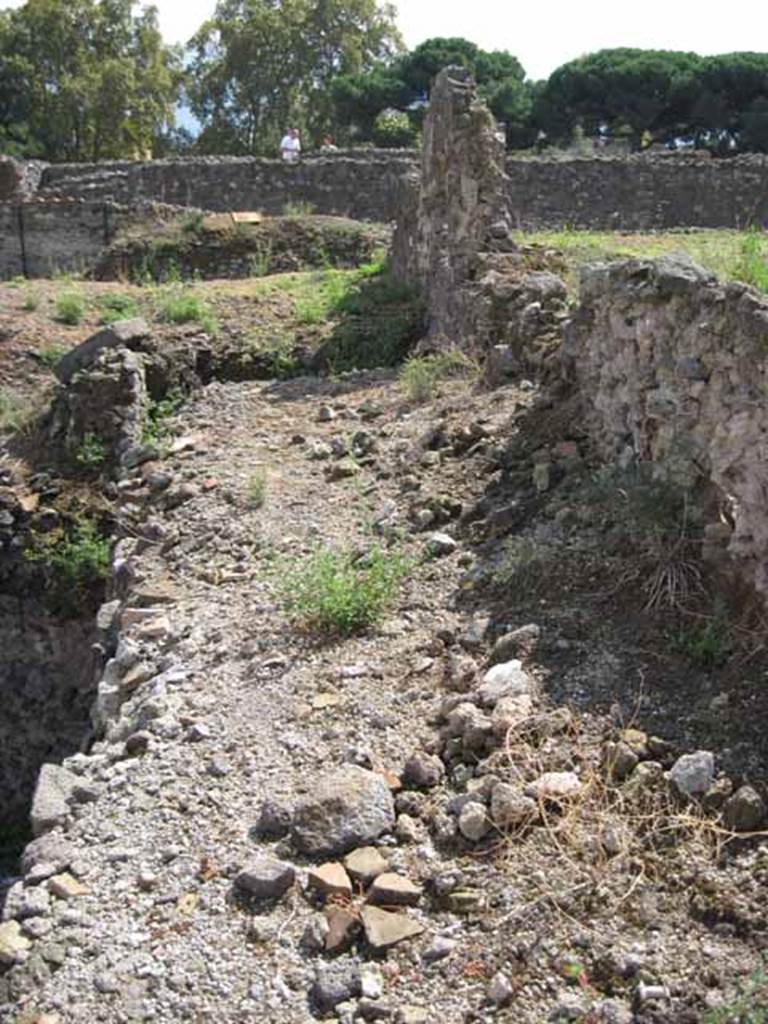 VIII.7.24 Pompeii. September 2010. Looking south along western portico of garden, looking south towards Odeon. Photo courtesy of Drew Baker.