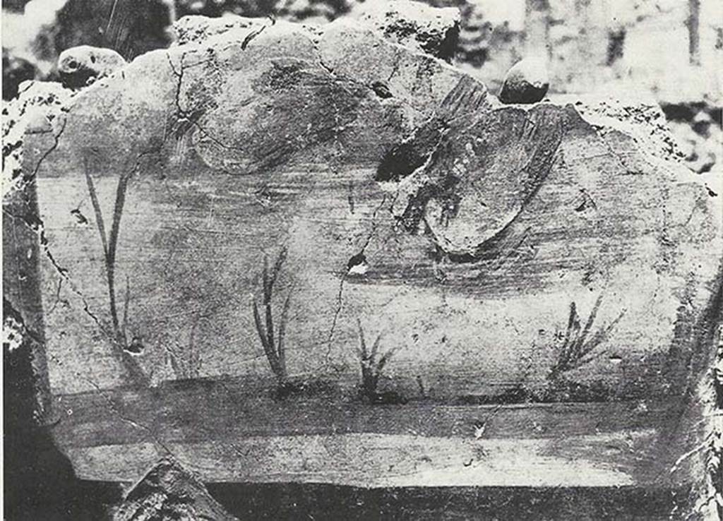 VIII.7.24 Pompeii. 1955. Fragment of Nilotic painting in peristyle. North wall. Ducks floating.
See Maiuri A., 1955. Una Nuova Pittura Nilotica a Pompei. Roma: Acc. Naz dei Lincei, Tav. IV, 1.