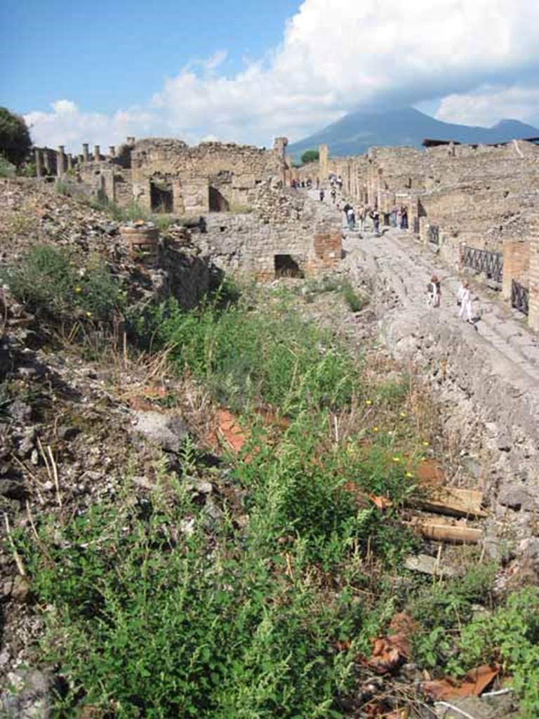 VIII.7.24 Pompeii. September 2010. 
On extreme east side looking north along eastern portico of garden. 
Via Stabiana is on the right of the photo.
Photo courtesy of Drew Baker.
According to Peters, (1963) found on the portico of a lower lying peristyle which preceded the present one, on the lower zone of its four walls were scenes from the lives of pygmies.
These scenes were interrupted only by doors and windows.
On the northern, eastern and southern walls large portions had remained in their original sites (fig.24).
Only fragments of the paintings were found on the western wall.
Both along the top and bottom the scenes were bordered by a wide red band.
See Peters, W.J.T. (1963): Landscape in Romano-Campanian Mural Paintings. The Netherland, Van Gorcum & Comp. (p.34)
According to Jacobelli, in the peristyle on the south section of the east wall next to the scene of a naval battle, there was a painting of gladiators.
The above photo and the following one must have been taken in the correct area.
Although the book was printed in 2003, it may have been written some years before.
There would not appear to be any paintings left on these walls.
She said the painting depicted the encounter between two gladiators, both armed with swords and rectangular shields.
Perhaps the one on the right had received a mortal blow or else he was attempting to deliver one because he appeared to be shown off balance.
There were also some other very faded paintings. 
Jacobelli said one part of the fresco was detached and moved to house I.8.17.
Another part was left in place, and it has almost completely faded away.
See Jacobelli, L., 2003. Gladiators at Pompeii. Rome, L’Erma di Bretschneider. (p.81)
In RdSP, Avilia and Jacobelli wrote an article entitled Sea-battles in Pompeian paintings, in which they describe the scene of the naval battle which was found on this east wall.
See RIVISTA DI STUDI POMPEIANI, Vol. III, 1989, p.138 and p.144.
In RdSP, there is an article entitled: The restoration of the wall paintings at Pompeii: activities and practice of the SAP Laboratory.
There is a picture of assembling the pieces of the nilotic fresco from this peristyle.
See RIVISTA DI STUDI POMPEIANI, Vol. XVII, 2006, p.74.