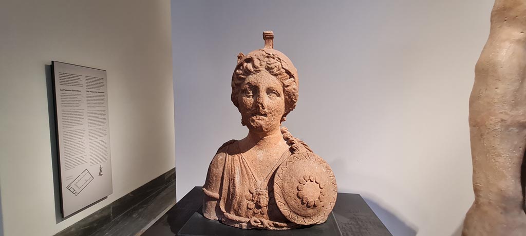 VIII.7.25 Pompeii. Terracotta bust of an armed goddess found in the cella.
According to the information card in Naples Museum, the female figure may be identified as Bellona, the goddess of war worshipped in Rome at the Temple of Apollo Sosianus near the Circus Flaminius and, together with Asclepius, on Tiber Island.
Now in Naples Archaeological Museum. Inventory number 22573.  Photo courtesy of Giuseppe Ciaramella.