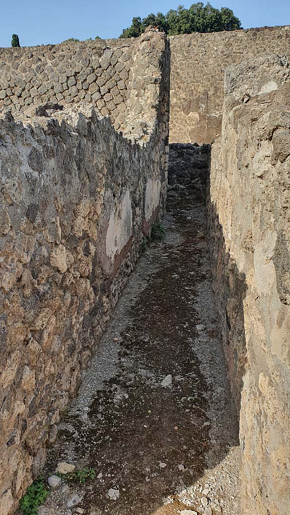 VIII.7.25 Pompeii. August 2021. 
Corridor around shrine on podium. Looking west along north side.
Foto Annette Haug, ERC Grant 681269 DÉCOR.