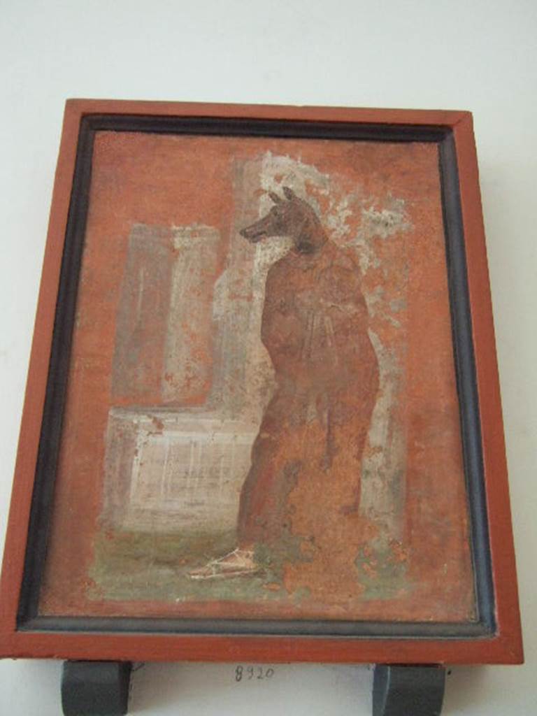 VIII.7.28 Pompeii.   Painting of (priest dressed as) Anubis.  Now in Naples Archaeological Museum.