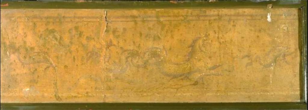 VIII.7.28 Pompeii. Marine griffin between dolphins, from the west portico. 
Now in Naples Archaeological Museum. Inventory number 8851.