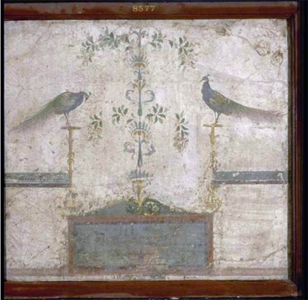 VIII.7.28 Pompeii. North part of the portico. Painting with two peacocks perched on candelabra and with a landscape. 
Now in Naples Archaeological Museum. Inventory number 8577.