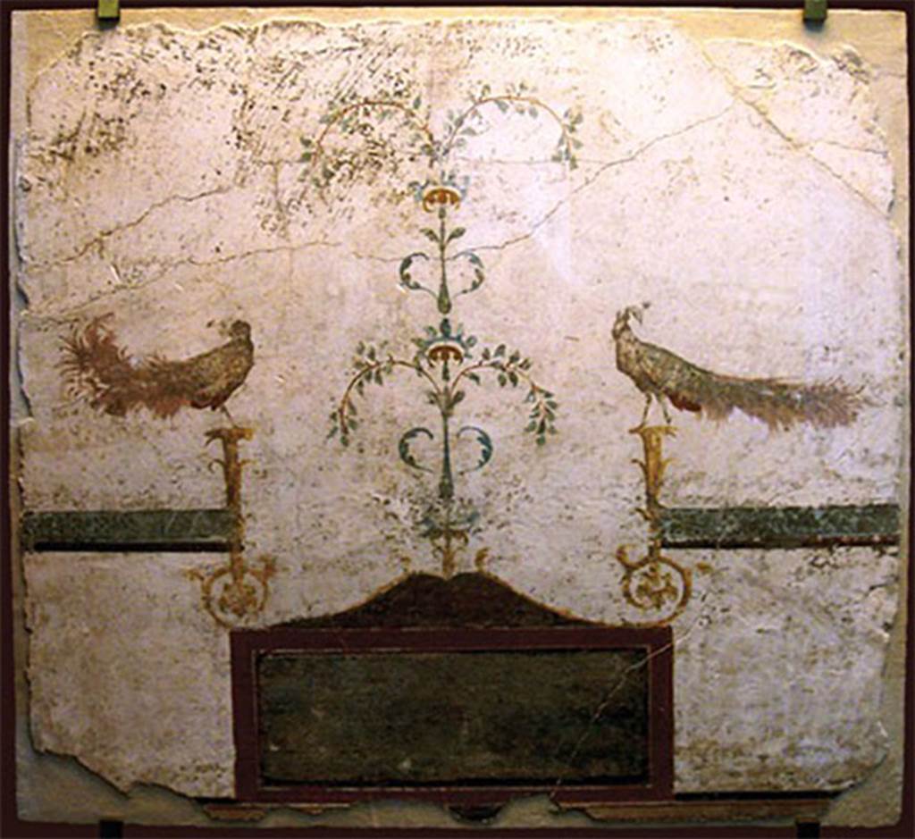VIII.7.28 Pompeii. Part of the portico? Painting with two peacocks perched on candelabra with a landscape below.
Upper part of the Temple of Isis, Pompeii.
This fresco features two peacocks perched on stylized chandeliers and, at the bottom, a picture with a landscape. 
Now in the Museu Nacional/UFRJ Brazil.
Following the disastrous fire at the Museum on 3rd September 2018 this may have been destroyed.
Parte superior do Templo de Ísis, Pompéia.
Este afresco apresenta dois pavões empoleirados em candelabros estilizados e, na parte inferior, um quadro com uma paisagem. 
See http://www.museunacional.ufrj.br/dir/exposicoes/arqueologia/culturas-mediterraneo/arqcmed013.html
