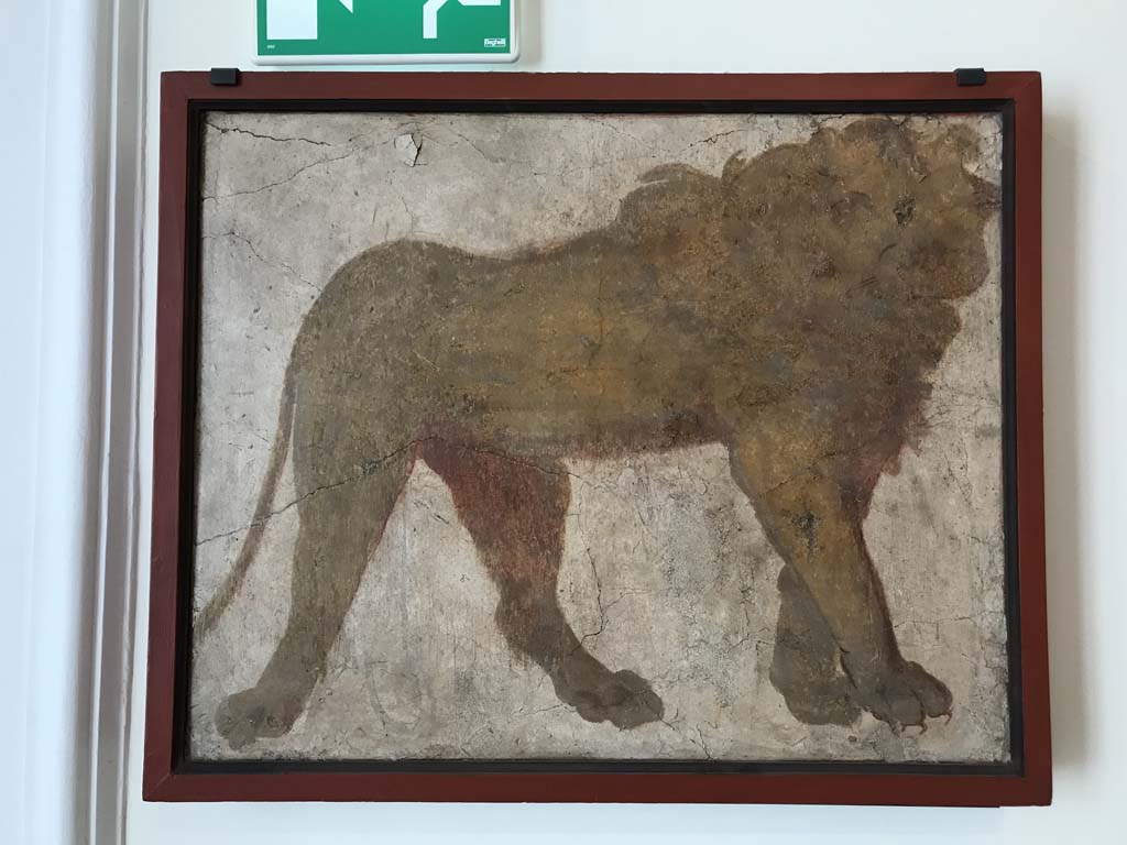 VIII.7.28 Pompeii. April 2019. Found on north wall of the sacrarium. Painting of lion. 
Now in Naples Archaeological Museum. Inventory number 8564. Photo courtesy of Rick Bauer.