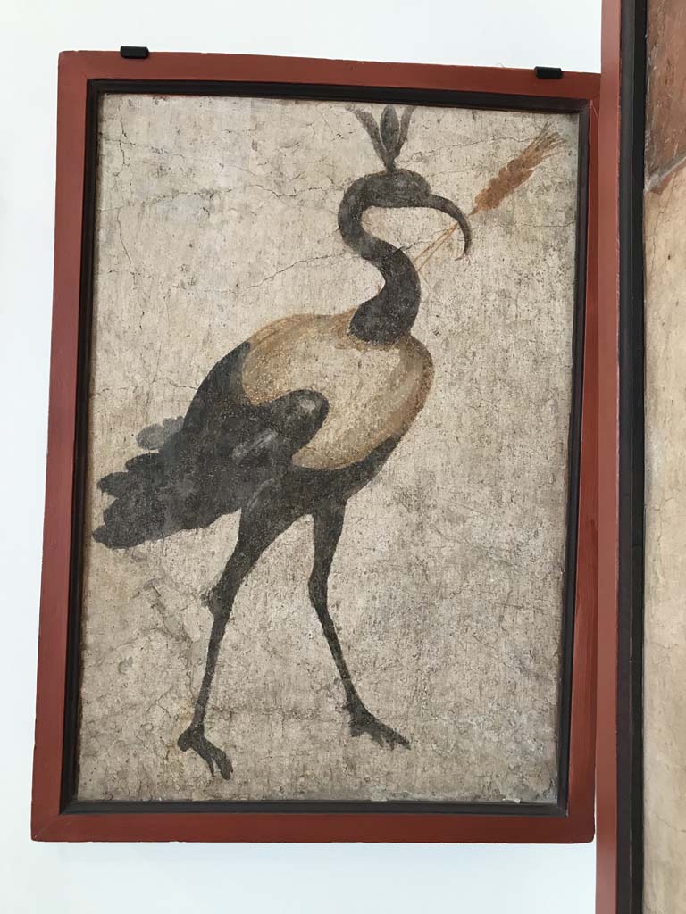 VIII.7.28 Pompeii. April 2019. Found on north wall of the sacrarium. Painting of sacred ibis. 
Now in Naples Archaeological Museum. Inventory number 8562. Photo courtesy of Rick Bauer.