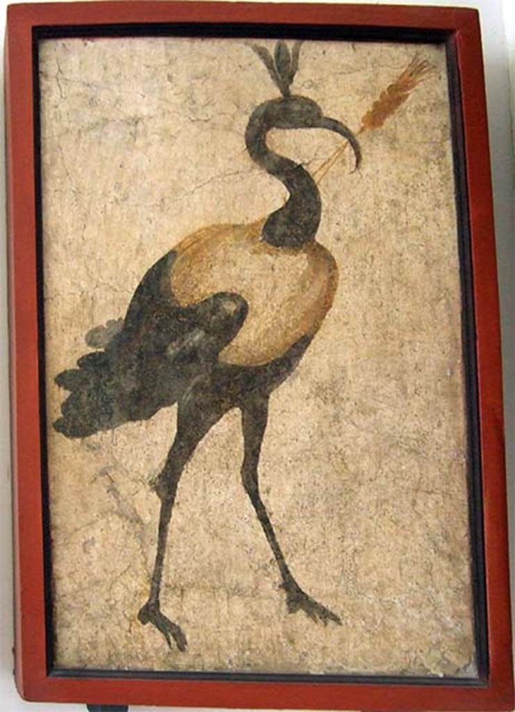VIII.7.28 Pompeii. Found on north wall of the sacrarium. Painting of sacred ibis. 
Now in Naples Archaeological Museum. Inventory number 8562.