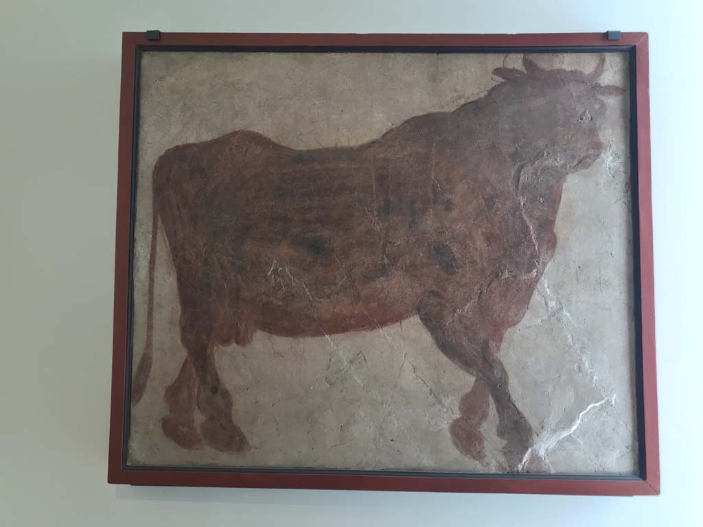 VIII.7.28 Pompeii. April 2019. Painting of sacred bull found on east wall of sacrarium. 
Now in Naples Archaeological Museum. Inventory number 8565. Photo courtesy of Rick Bauer.