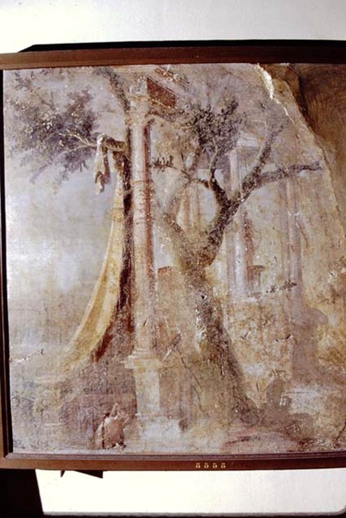 VIII.7.28 Pompeii. 1971. Fragment from west wall at north end. Now in Naples Archaeological Museum.  Inventory number 8558. Photo by Stanley A. Jashemski.
Source: The Wilhelmina and Stanley A. Jashemski archive in the University of Maryland Library, Special Collections (See collection page) and made available under the Creative Commons Attribution-Non Commercial License v.4. See Licence and use details. J71f0281