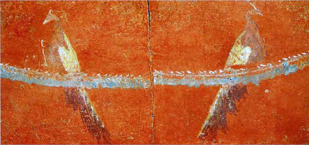 VIII.7.28 Pompeii. Upper part of central zone of portico. Two separate panels each with a peacock perched on a garland. These may have come from the same panel or from two different panels.
Now in Naples Archaeological Museum. Inventory number 9760.