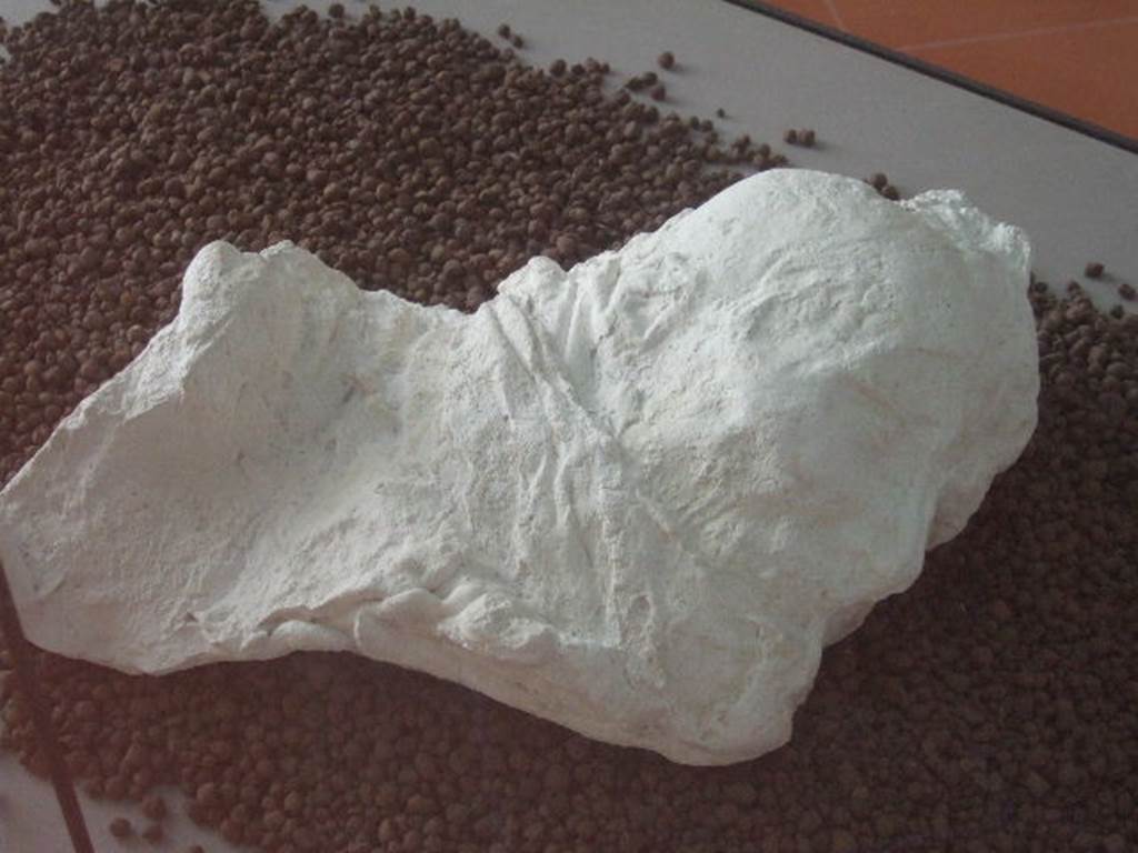 VIII.7.28 Pompeii. Cast of a woman’s head. Now in Boscoreale Antiquarium.