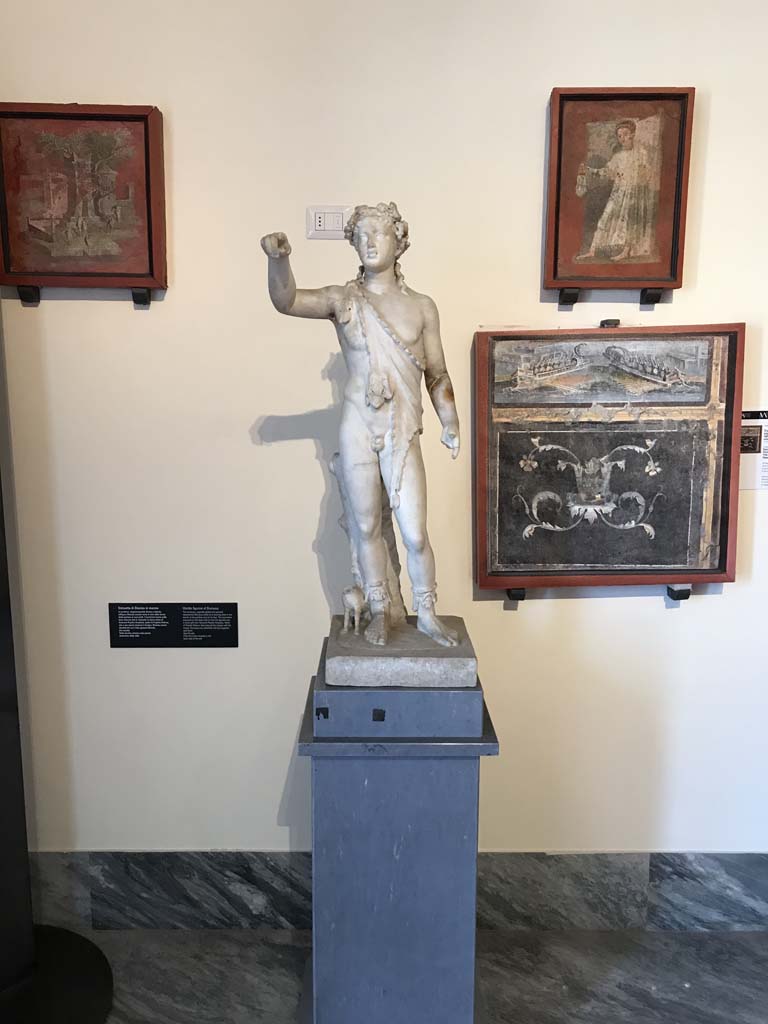 VIII.7.28 Pompeii. April 2019. Statue of Dionysus from niche in west rear wall of temple cella. 
Photo courtesy of Rick Bauer.