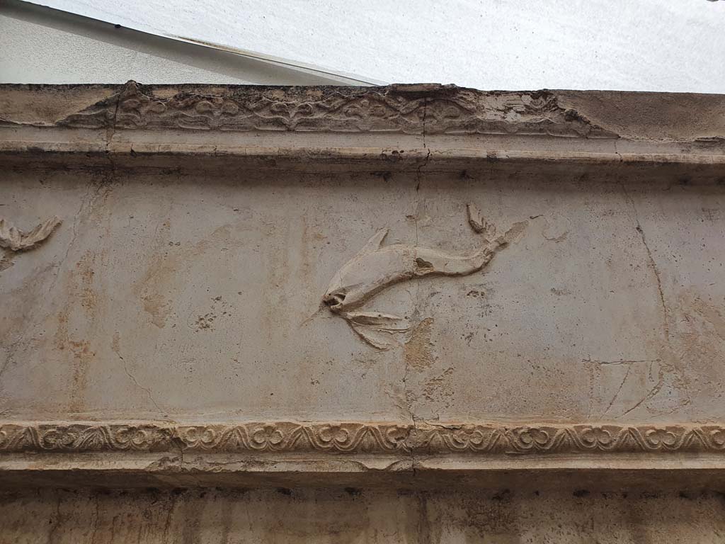 VIII.7.28 Pompeii. August 2021. Detail of dolphin stucco from east end of south side of purgatorium.
Foto Annette Haug, ERC Grant 681269 DÉCOR.