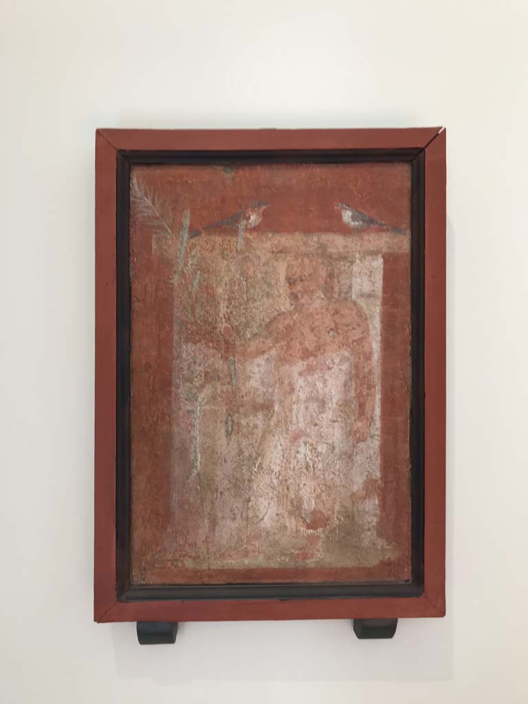 VIII.7.28 Pompeii. April 2019. Painting of priest from east portico.
Now in Naples Archaeological Museum. Inventory number 8921. Photo courtesy of Rick Bauer.