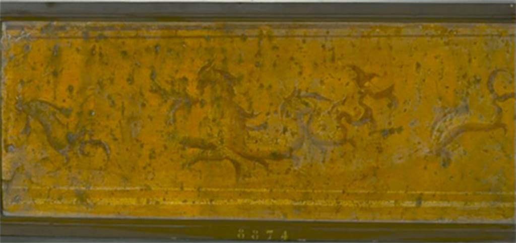 VIII.7.28 Pompeii. Zoccolo from right part of east portico. Painting of marine dragon between dolphins. 
Now in Naples Archaeological Museum. Inventory number 8874.