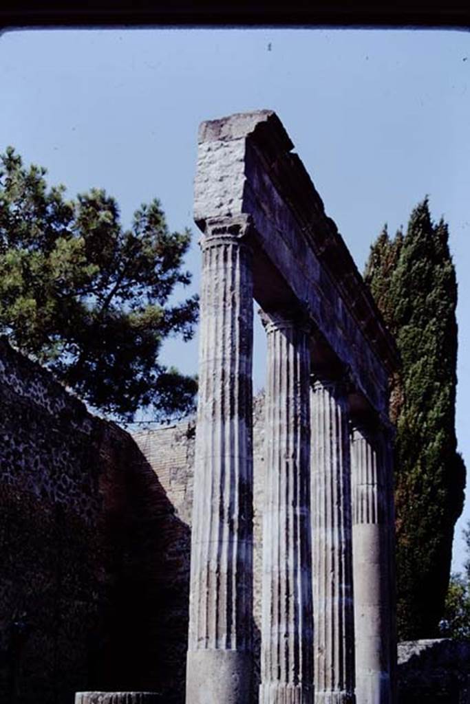 VIII.7.30 Pompeii. 1968. Details of columns at entrance of Triangular Forum. Photo by Stanley A. Jashemski.
Source: The Wilhelmina and Stanley A. Jashemski archive in the University of Maryland Library, Special Collections (See collection page) and made available under the Creative Commons Attribution-Non Commercial License v.4. See Licence and use details.
J68f1174