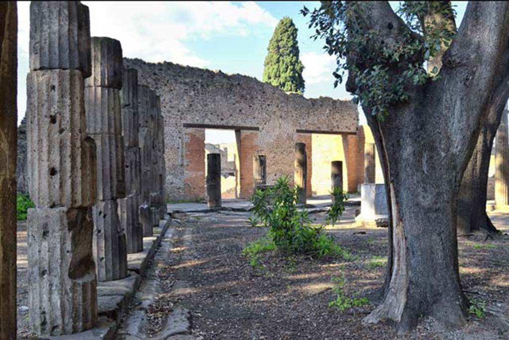 VIII.7.30 Pompeii. April 2018. Looking north along west side. Photo courtesy of Ian Lycett-King. 
Use is subject to Creative Commons Attribution-NonCommercial License v.4 International.