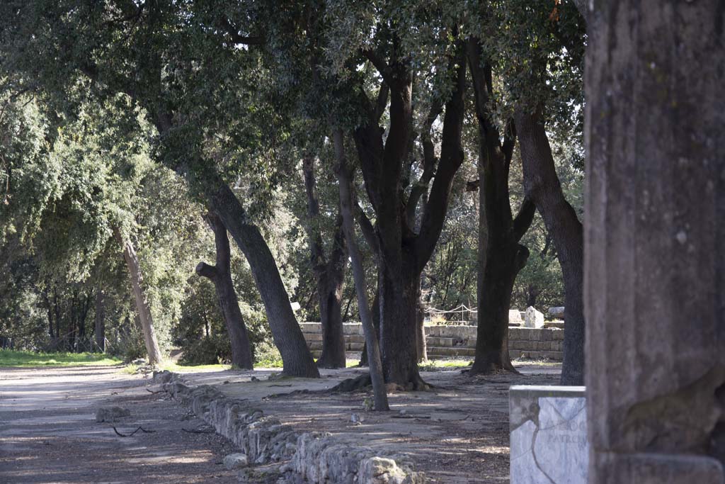 VIII.7.30 Pompeii. March 2019. Triangular Forum east side, looking towards the Doric Temple.
Foto Annette Haug, ERC Grant 681269 DÉCOR.