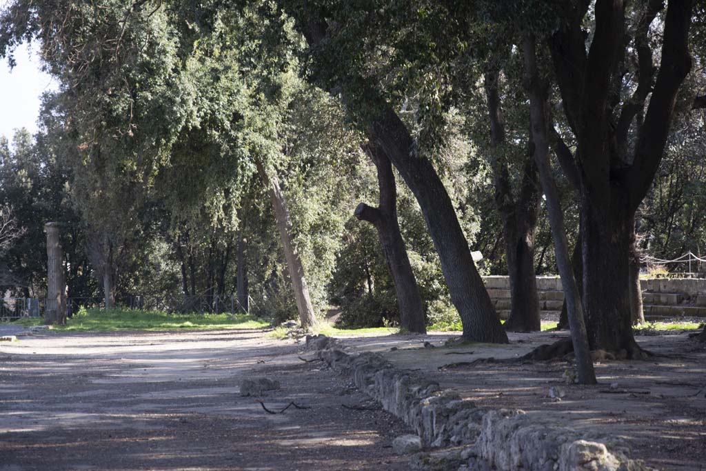 VIII.7.30 Pompeii. March 2019. Triangular Forum east side, looking south.
Foto Annette Haug, ERC Grant 681269 DÉCOR.