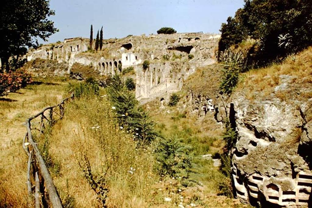 VIII.7.30 Pompeii and walls near Triangular Forum from outside city. 1959. Looking west along the rear of VIII.2. Photo by Stanley A. Jashemski.
Source: The Wilhelmina and Stanley A. Jashemski archive in the University of Maryland Library, Special Collections (See collection page) and made available under the Creative Commons Attribution-Non Commercial License v.4. See Licence and use details.
J59f0417