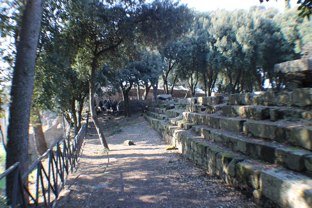VIII.7.31 Pompeii. March 2014. Looking west along south side, from south-east corner. 
Foto Annette Haug, ERC Grant 681269 DÉCOR.