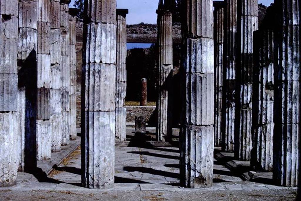 IX.1.20Pompeii. 1966. Room 2, looking north across impluvium.  Photo by Stanley A. Jashemski.
Source: The Wilhelmina and Stanley A. Jashemski archive in the University of Maryland Library, Special Collections (See collection page) and made available under the Creative Commons Attribution-Non Commercial License v.4. See Licence and use details.
J66f0466