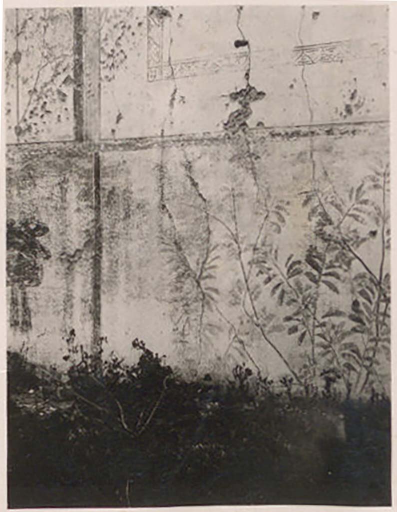 IX.1.20 Pompeii. Pre-1943. Painted decoration on the north wall. Photo by Tatiana Warscher.
According to Warscher – 
“On the north wall are some traces of painting: the most common decoration on the central panel and also
bushes on the zoccolo”.
See Warscher, T. Codex Topographicus Pompeianus, IX.1. (1943), Swedish Institute, Rome. (no.107), p. 186.