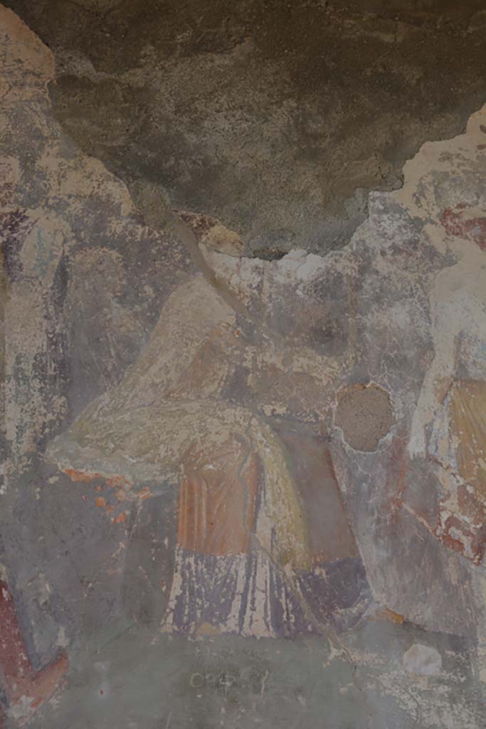 IX.1.22 Pompeii. September 2019. Room 19, detail from painting on north wall, Orpheus.  
Foto Annette Haug, ERC Grant 681269 DÉCOR