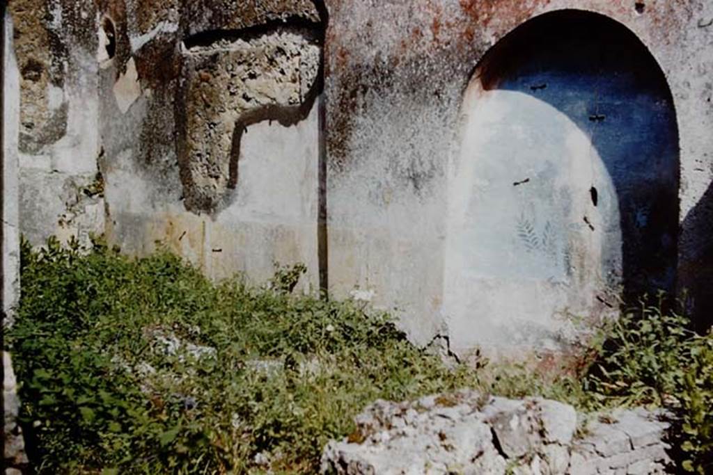 IX.2.7 Pompeii. 1959. Arched niche painted blue in wall at rear of the pool. Photo by Stanley A. Jashemski.
Source: The Wilhelmina and Stanley A. Jashemski archive in the University of Maryland Library, Special Collections (See collection page) and made available under the Creative Commons Attribution-Non Commercial License v.4. See Licence and use details.
J59f0370