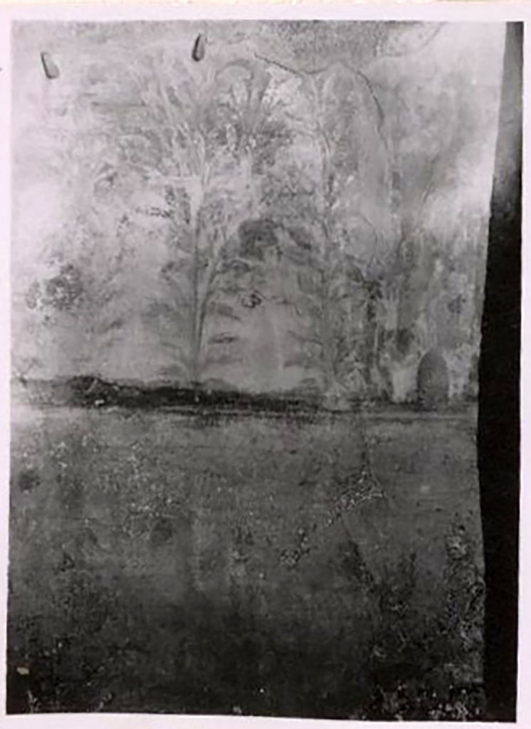IX.2.7 Pompeii. Pre-1943. Garden painting on south wall on east side of pool. Photo by Tatiana Warscher.
See Warscher, T. Codex Topographicus Pompeianus, IX.2. (1943), Swedish Institute, Rome. (no.21.), p. 49.