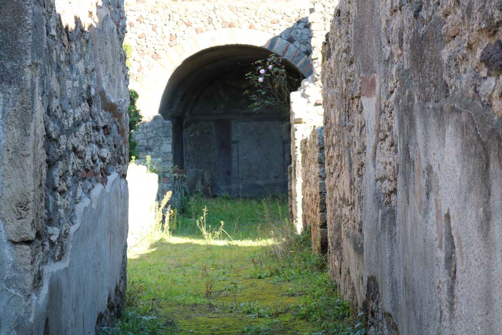 IX.2.10 Pompeii. December 2018. 
Looking east from entrance corridor towards the vaulted room or tablinum. Photo courtesy of Aude Durand.
