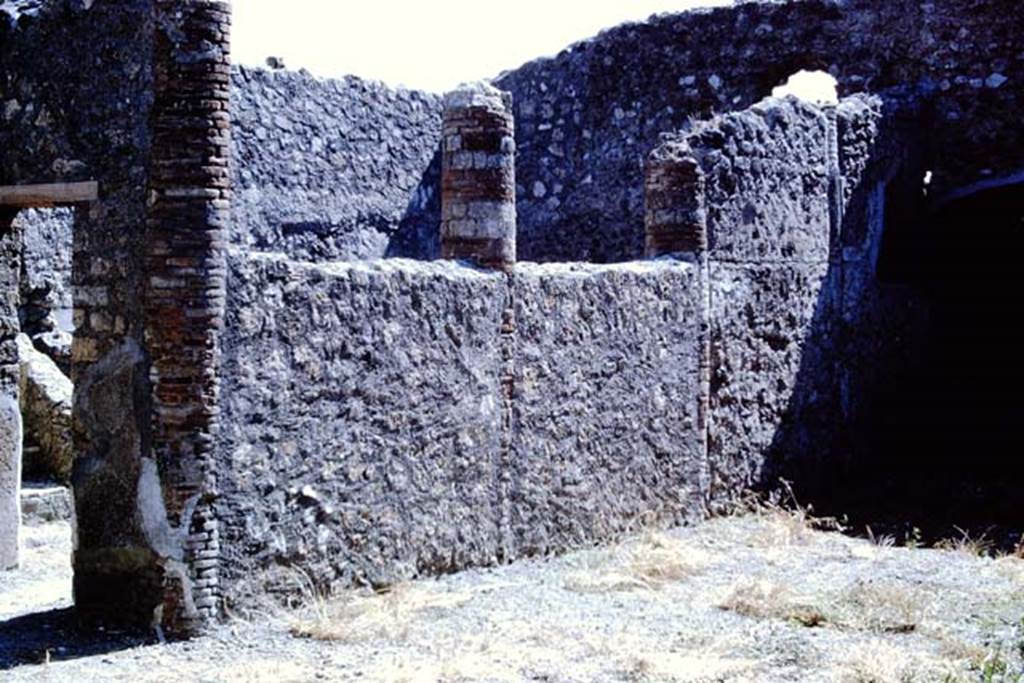 IX.2.15/16 Pompeii. 1966. Looking towards south side of garden area, with doorway to kitchen area, on the left. Photo by Stanley A. Jashemski.
Source: The Wilhelmina and Stanley A. Jashemski archive in the University of Maryland Library, Special Collections (See collection page) and made available under the Creative Commons Attribution-Non Commercial License v.4. See Licence and use details. J66f0373