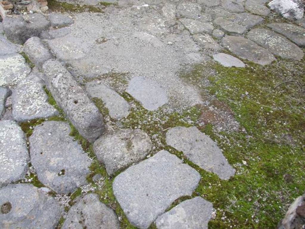 IX.2.24 Pompeii.  March 2009.   Ramp in doorway.