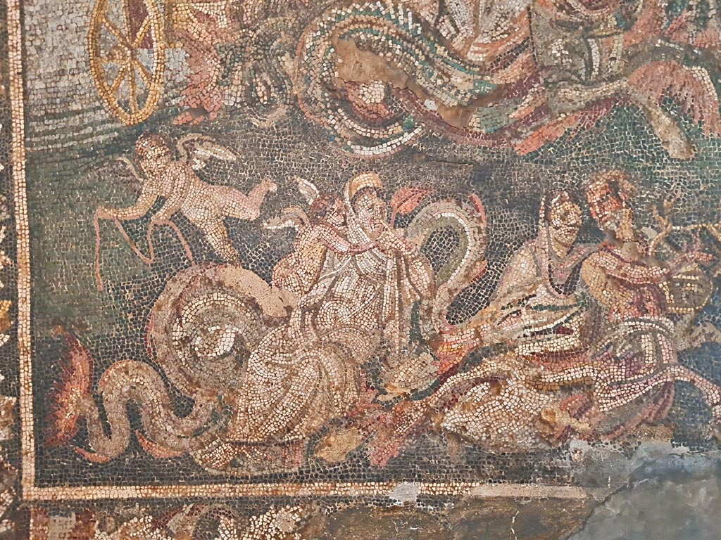 IX.2.27 Pompeii. Detail from lower register of mosaic of Neptune and Amphitrite, this was found in a triclinium on east side of peristyle.  
Now in Naples Archaeological Museum, inventory number 10007.
Photo courtesy of Giuseppe Ciaramella. September 2024.