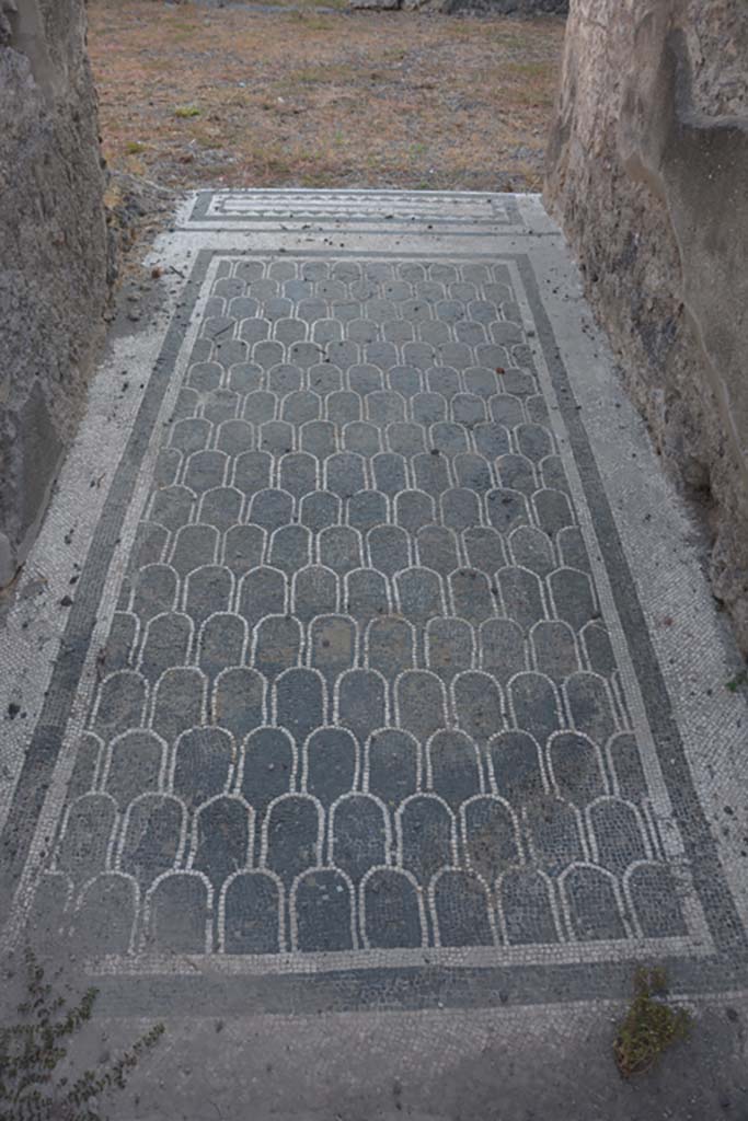 IX.3.2 Pompeii. September 2019. Looking east along mosaic in entrance corridor. 
Foto Annette Haug, ERC Grant 681269 DÉCOR.