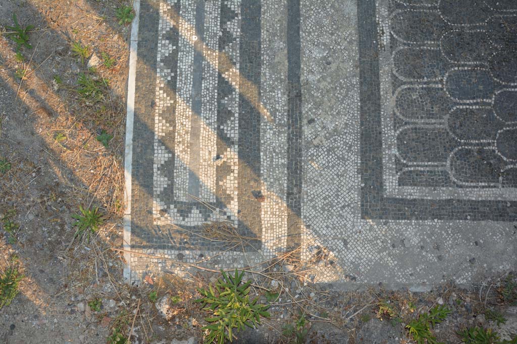 IX.3.2 Pompeii. July 2017. Detail of mosaics in entrance corridor at east end.
Foto Annette Haug, ERC Grant 681269 DÉCOR.