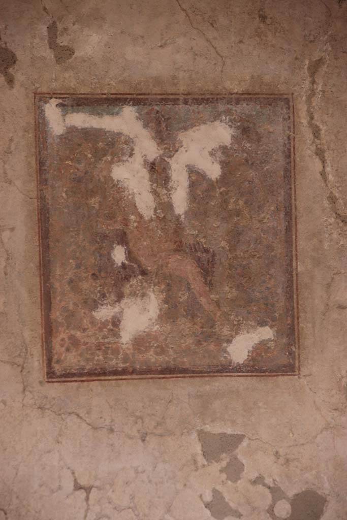IX.3.5 Pompeii. October 2020. Room 15, central wall painting of Cyparissus, from the centre of the south wall. 
Photo courtesy of Klaus Heese.