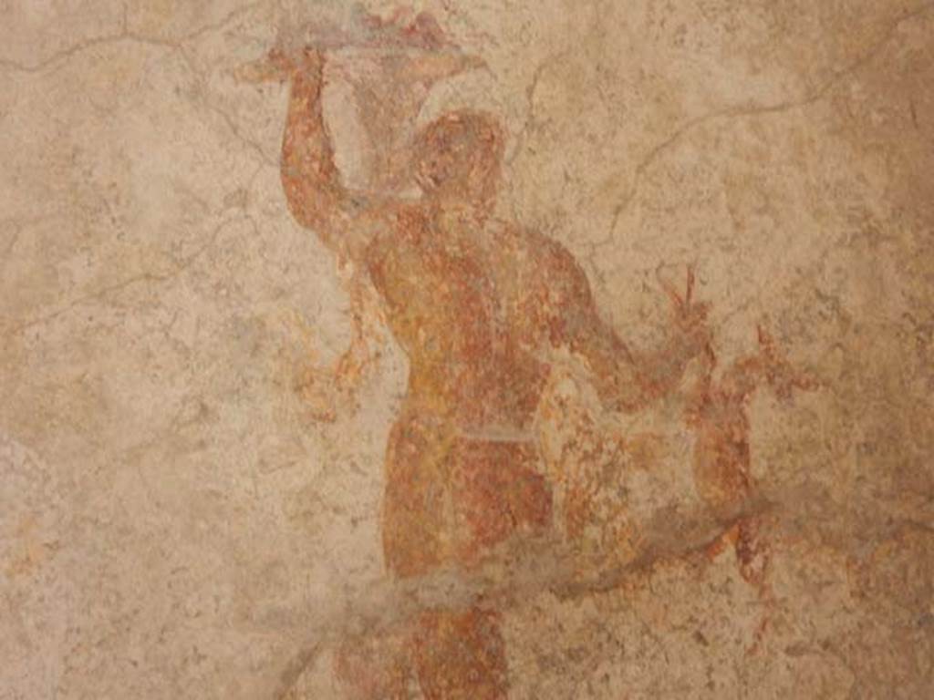 IX.3.5 Pompeii. May 2015. Room 15, detail of painted figure from west end of south wall.  Photo courtesy of Buzz Ferebee.