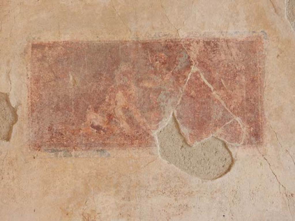 IX.3.5 Pompeii. May 2015. Room 15, panel on south end of west wall. Photo courtesy of Buzz Ferebee.